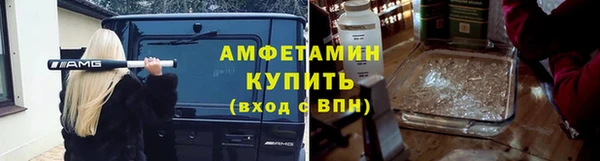 гашик Михайловск