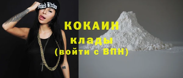 гашик Михайловск