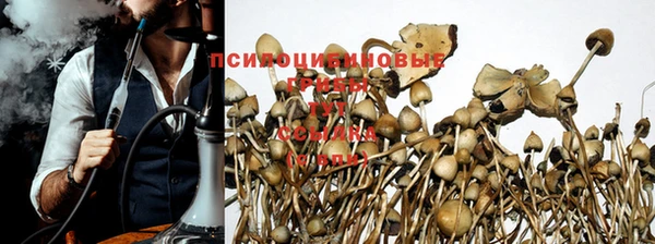a pvp Михайлов