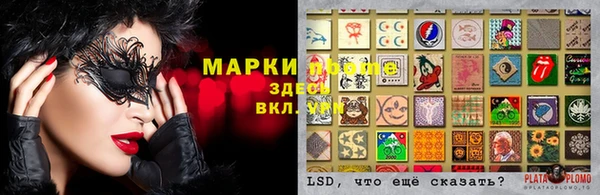 гашик Михайловск