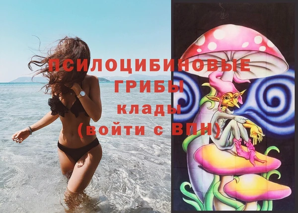 a pvp Михайлов