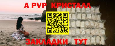 крисы Кунгур