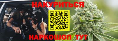 крисы Кунгур