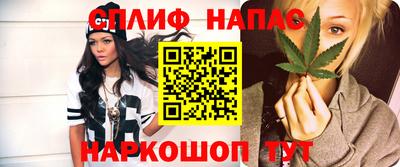 крисы Кунгур